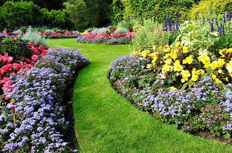 jardinier, débroussaillage, plantation, entretien, jardin, fleurs, Étain